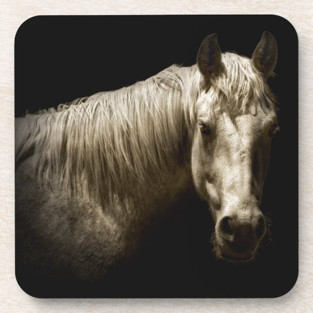Dessous-de-verre Portrait de cheval VI (Devant)