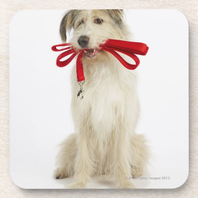 Dessous-de-verre Portrait de chien avec la laisse (Devant)