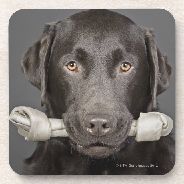 Dessous-de-verre Portrait de chocolat Labrador (Devant)