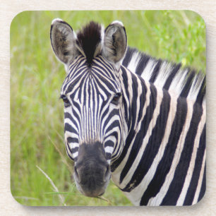 Dessous-de-verre Portrait de zèbre des plaines, Hluhluwe-Umfolozi G