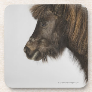 Dessous-de-verre portrait d'un cheval