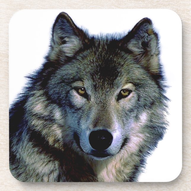 Dessous-de-verre Portrait Wolf (Devant)
