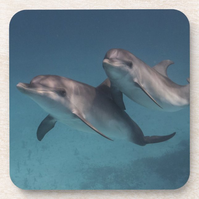 Dessous-de-verre Pose espiègle (Devant)