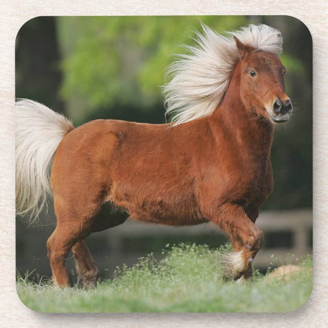 Dessous-de-verre Position miniature de cheval (Devant)