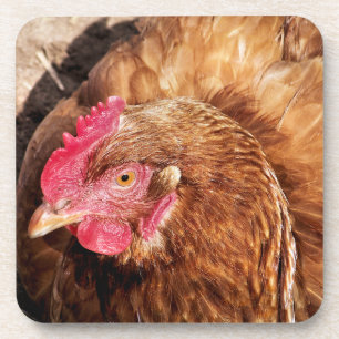 DESSOUS-DE-VERRE POULET CUIT
