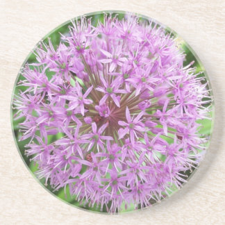 Dessous de verre pourpres d'allium