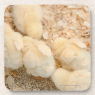 Dessous-de-verre poussins