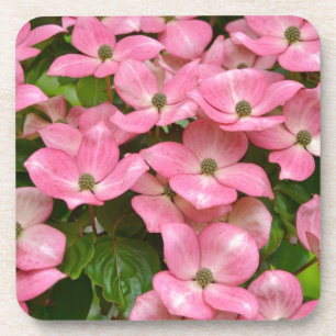 Dessous-de-verre Presse de fleurs de bois de kousa rose