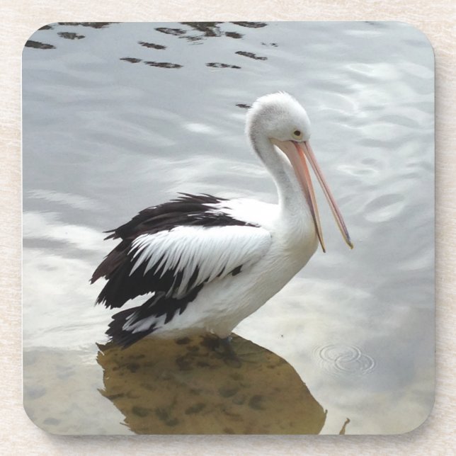Dessous-de-verre Pretty Pelican Coaster Set (Devant)