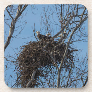Dessous-de-verre Problème de double aigle