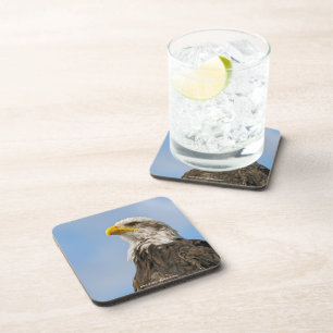 Dessous-de-verre Pygargue à tête blanche