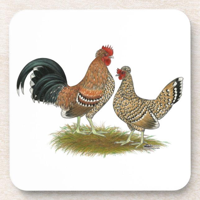 Dessous-de-verre Pyncheon Bantams (Devant)