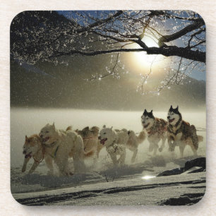 Dessous-de-verre Race de Sled