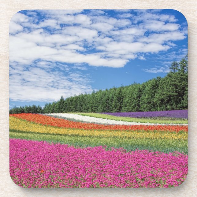 Dessous-de-verre Rangées de fleurs de champ d'été (Devant)