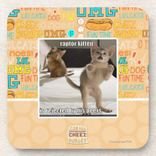 Dessous-de-verre Raptor Kitten