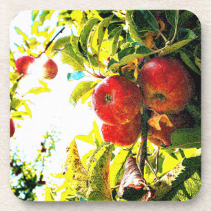 Dessous-de-verre "Red Apples Tree On Sunny Day" Photo Mignonne. Com
