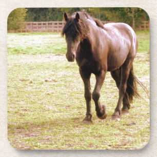Dessous-de-verre Relaxed Brown Horse Walking