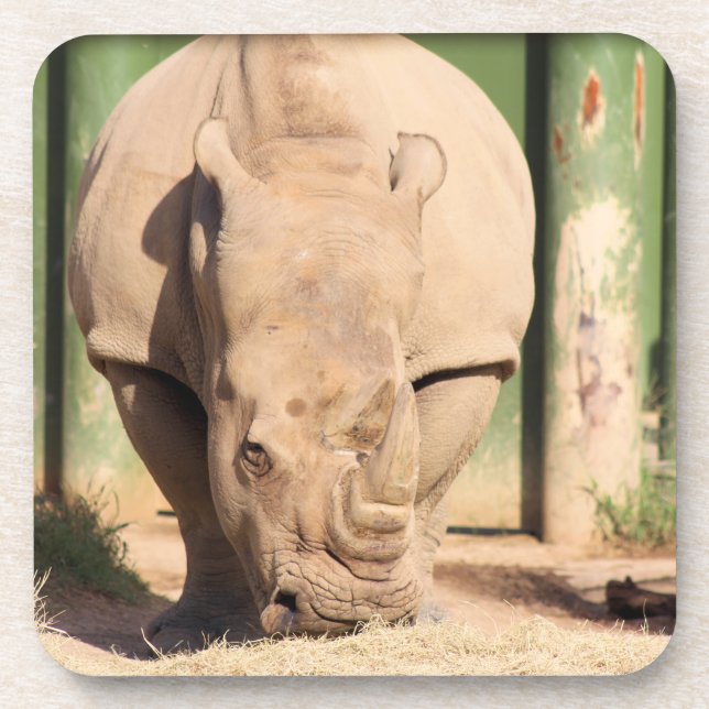 Dessous-de-verre Rhino blanc (Devant)