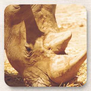 Dessous-de-verre Rhinoceros Love