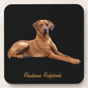 Dessous-de-verre Rhodesian Ridgeback (ensemble de 6 pièces)