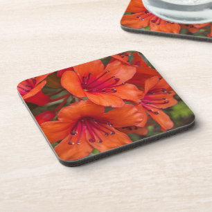 Dessous-de-verre Rhododendron clair Orange fleurit Floral