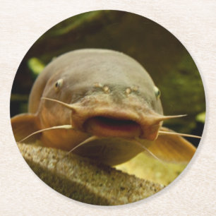 Dessous-de-verre Rond En Papier Catfish