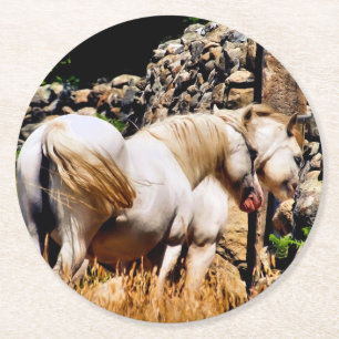 DESSOUS-DE-VERRE ROND EN PAPIER CHEVAUX