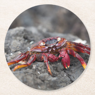 Dessous-de-verre Rond En Papier Crabe rouge