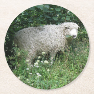 Dessous-de-verre Rond En Papier Cute Blanc Fluffy Sheep Manger Dessous de verre de