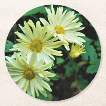 Dessous de verre Daisy Delight