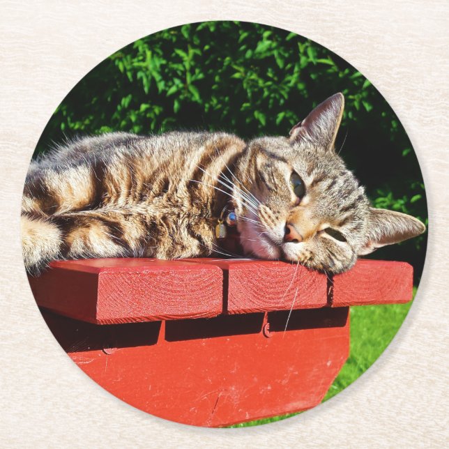 Dessous-de-verre Rond En Papier Dessous de verre de chat tigré (Devant)