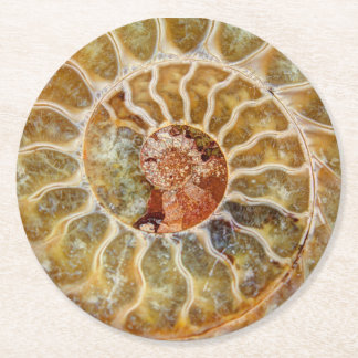 Dessous-de-verre Rond En Papier Dessous de verre de fossile d'ammonite