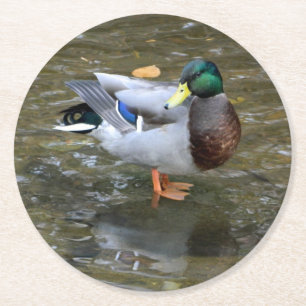 Dessous-de-verre Rond En Papier Dessous de verre en papier Mallard Duck (Homme)