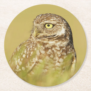 Dessous-de-verre Rond En Papier Dessous de verre papier de profil de la Chouette e