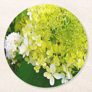 Dessous-de-verre Rond En Papier Élégante Chartreuse Vert Limelight Hydrangea