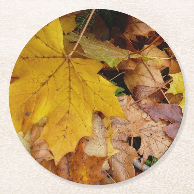 Dessous-de-verre Rond En Papier Fallen Maple Feuille Jaune Automne Nature (Devant)