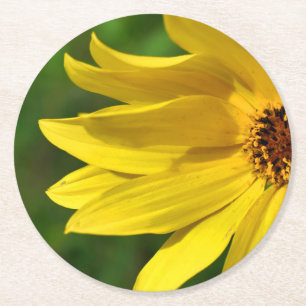 Dessous-de-verre Rond En Papier Hélénium de marguerite jaune