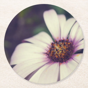 Dessous-de-verre Rond En Papier Impression de marguerite.