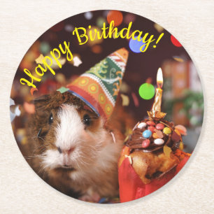 Dessous-de-verre Rond En Papier Joyeux anniversaire - Parti Animal Guinea Pig