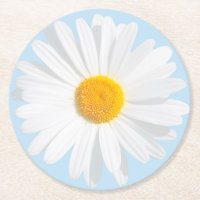marguerite blanche