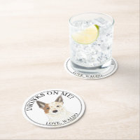 Mariage Heeler de chien de chien de chien de chien