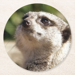 DESSOUS-DE-VERRE ROND EN PAPIER MEERKAT