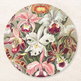 Dessous-de-verre Rond En Papier Orchidées, Orchidées Denusblumen par Ernst Haeck