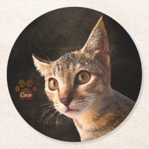 Dessous-de-verre Rond En Papier Personnalisé Cute Animal Kitten Chat Chien Modèle