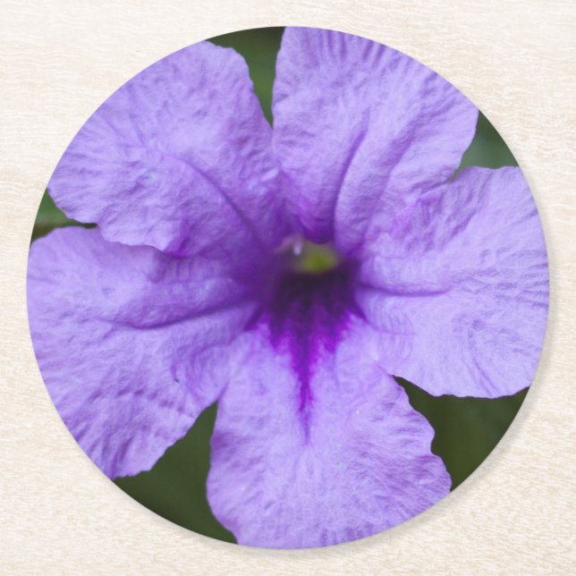 Dessous-de-verre Rond En Papier Pétunia mexicain nain pourpre (Devant)