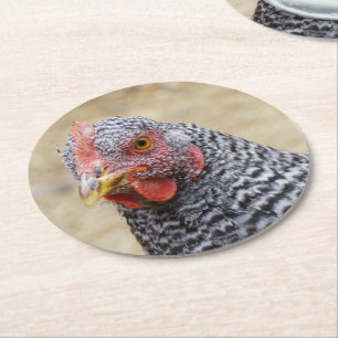 Dessous-de-verre Rond En Papier Plymouth a barré la photographie de poule de roch