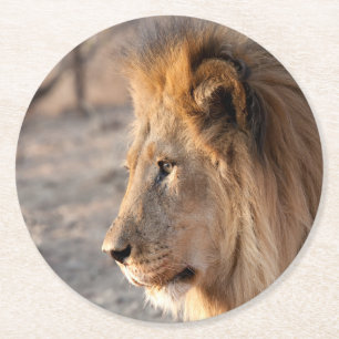 Dessous-de-verre Rond En Papier Portrait de Lion