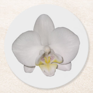 Dessous-de-verre Rond En Papier Sous-tapis en papier Orchidée Blanche