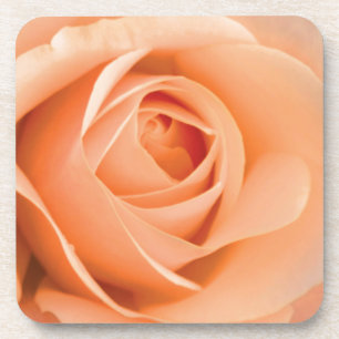 Dessous-de-verre Rose orange