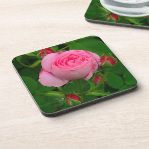 dessous de verre "ROSE ROSE ROSE ROSE" (JEU DE 6)